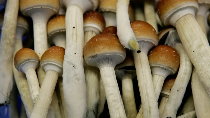 Psychedelic therapies